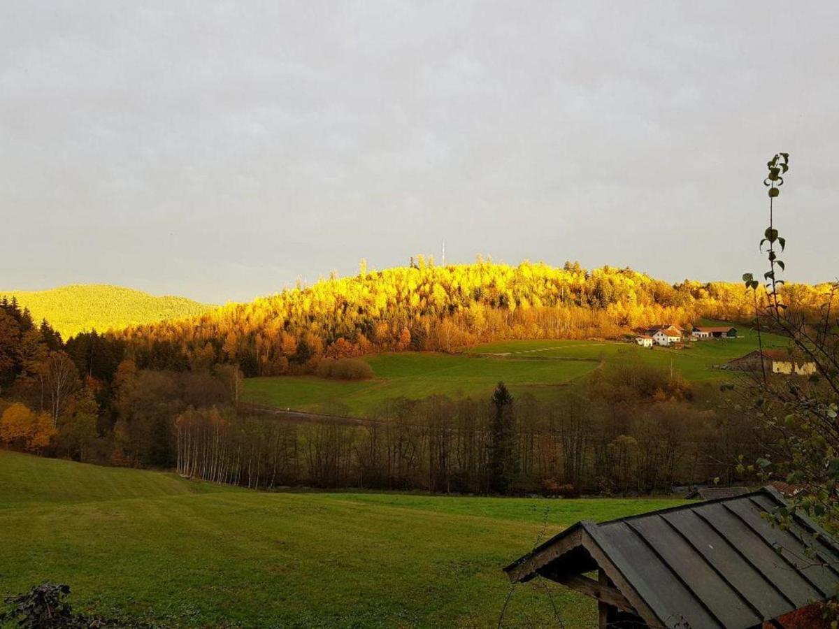 Appartamento Haus Am Osterbruennl Ruhmannsfelden Esterno foto